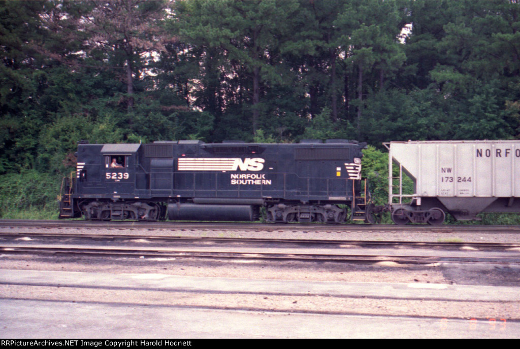 NS 5239